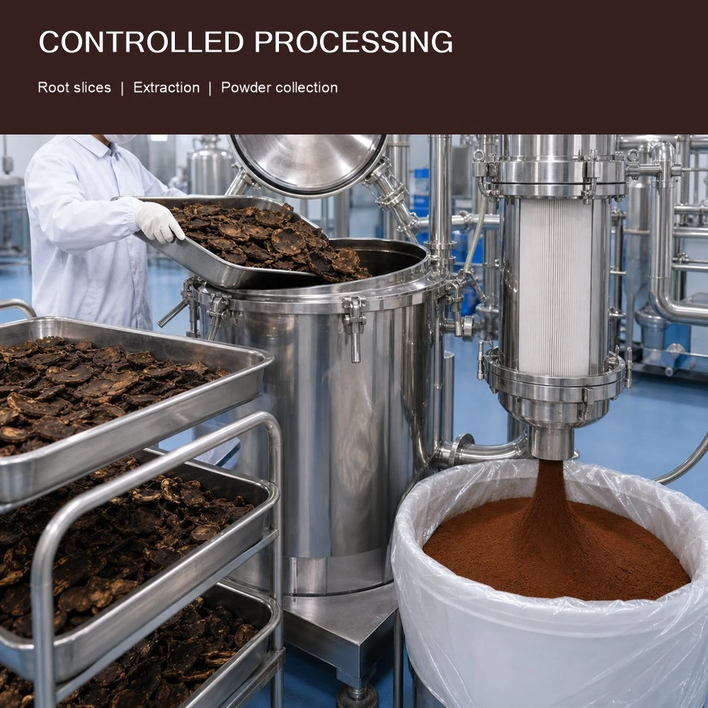 Polygonum Multiflorum Root Extract packaging and supply presentation