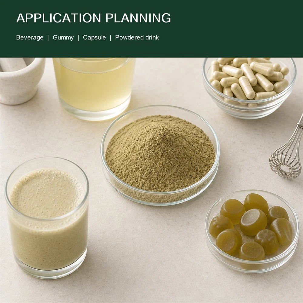 Bacopa Monnieri Leaf Extract quality and documentation presentation