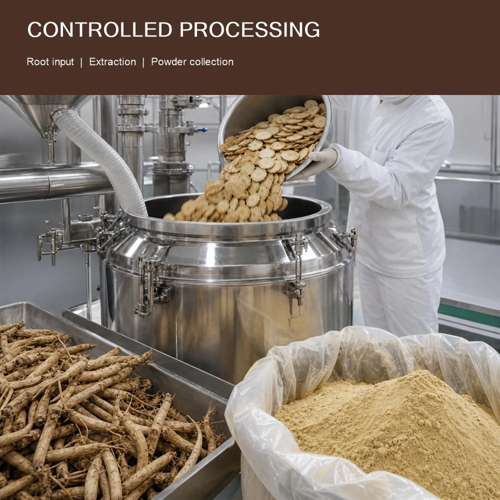 Codonopsis Root Extract packaging and supply presentation