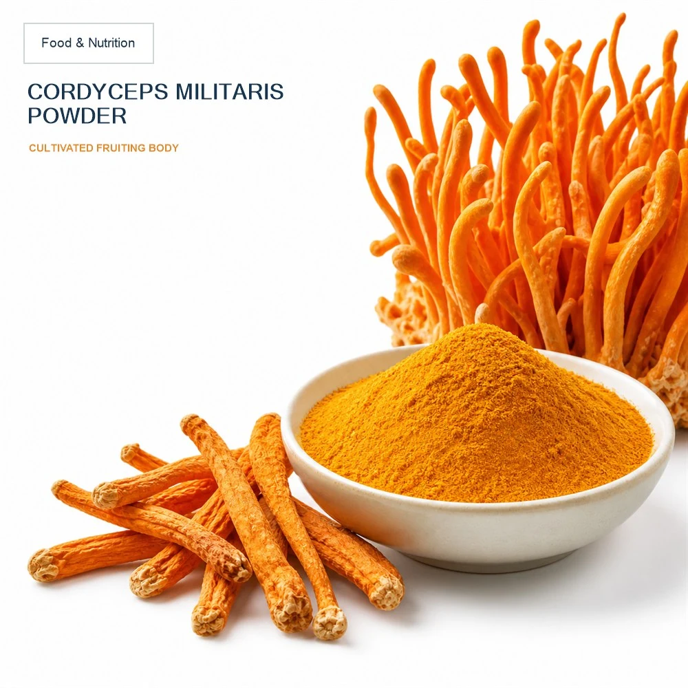 Cordyceps Mushroom Powder product sourcing presentation