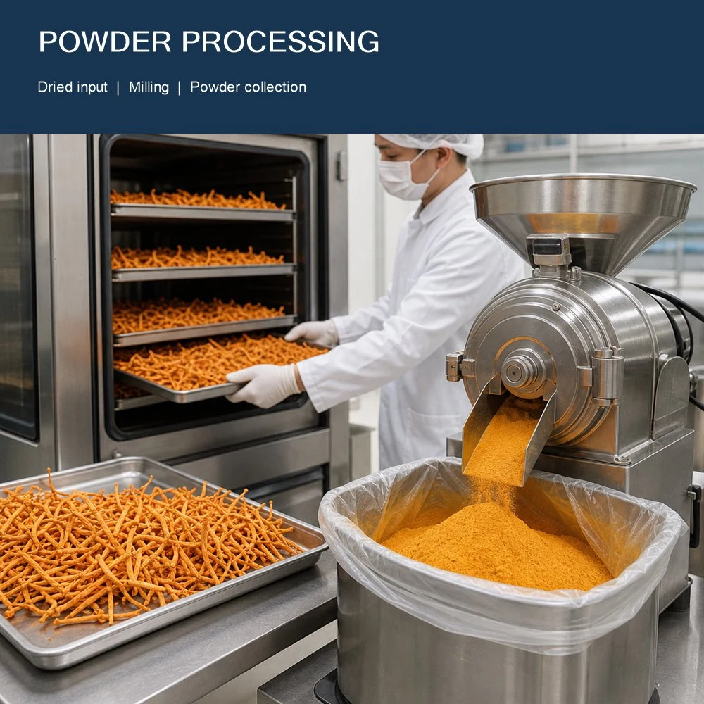 Cordyceps Mushroom Powder packaging and supply presentation