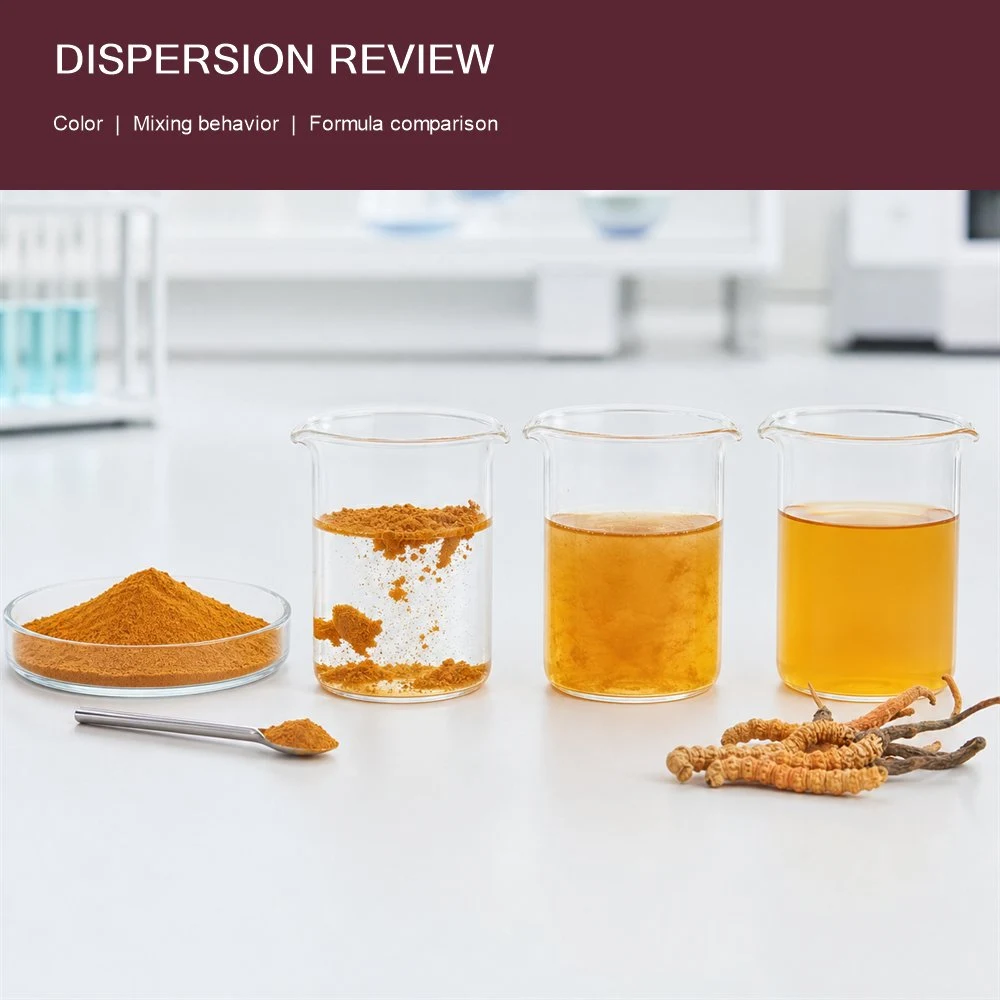 Cordyceps Extract packaging and supply presentation