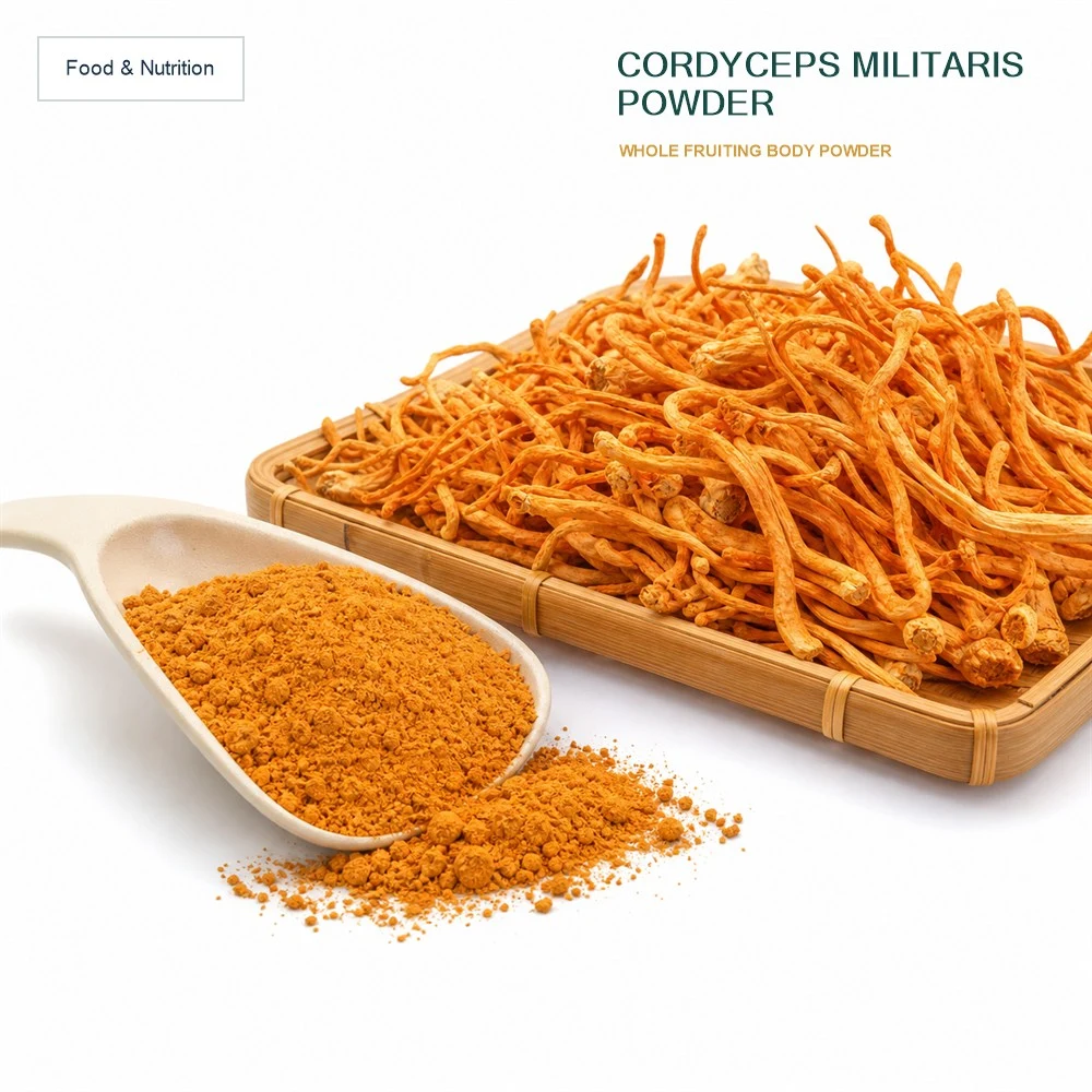 Cordyceps Powder Formulation Option product sourcing presentation