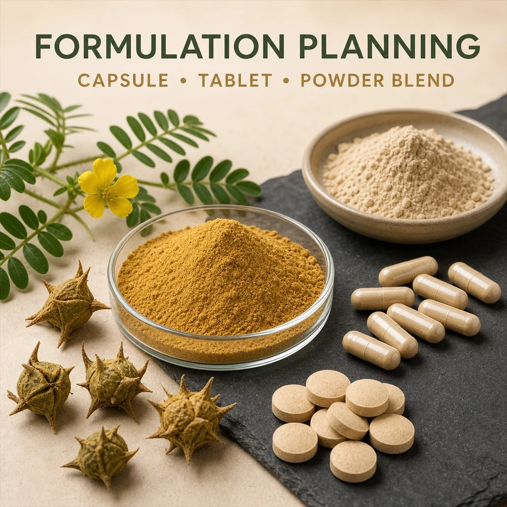 Tribulus Terrestris Extract quality and documentation presentation