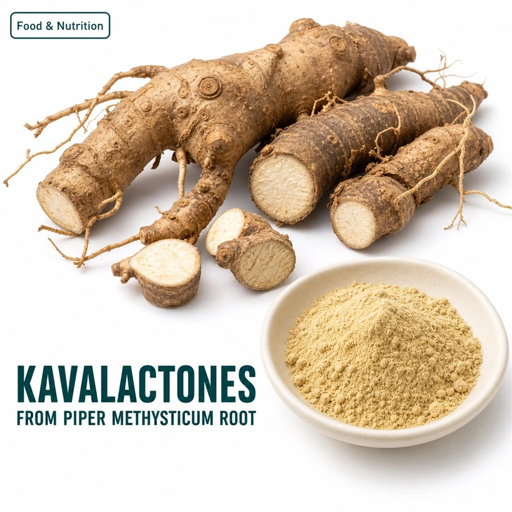 Kavalactones Powder product sourcing presentation