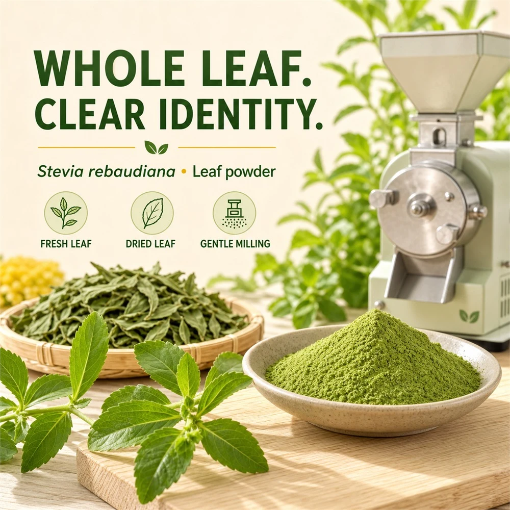 Stevia Leaf Powder ingredient and specification presentation