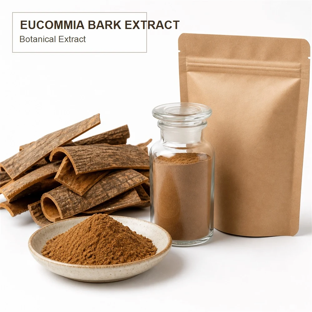 Eucommia Bark Extract product sourcing presentation