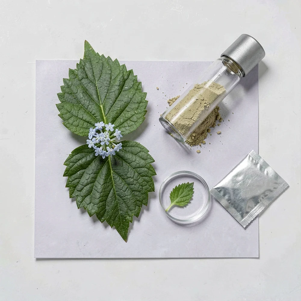 Hydrangea Leaf Extract application and project presentation