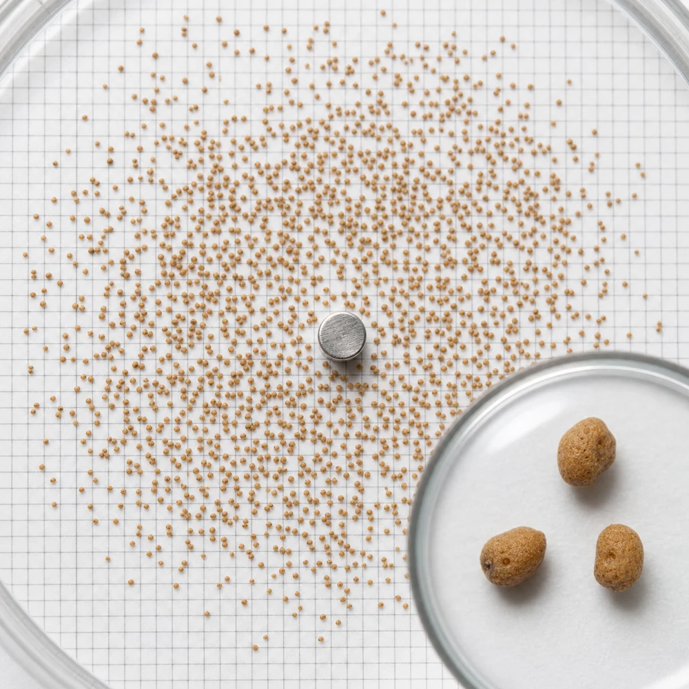 Cuscuta Seed Extract ingredient and specification presentation