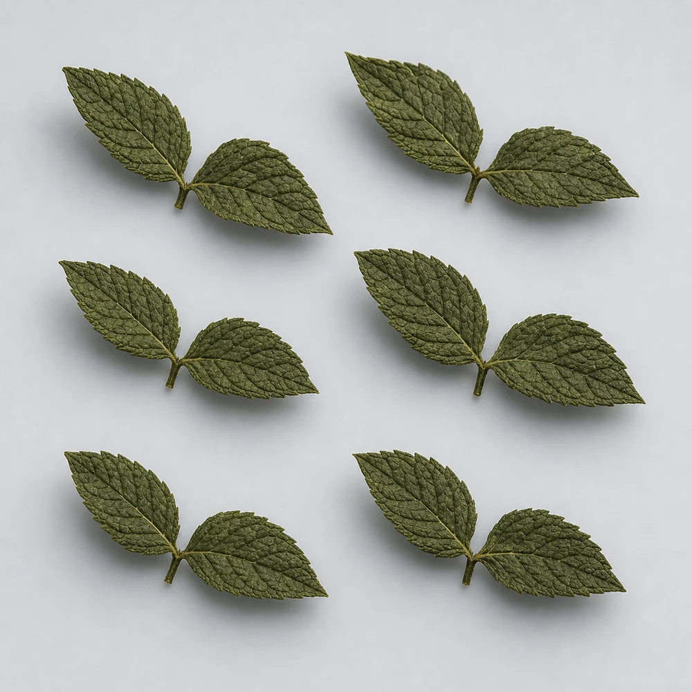 Peppermint Leaf Extract ingredient and specification presentation
