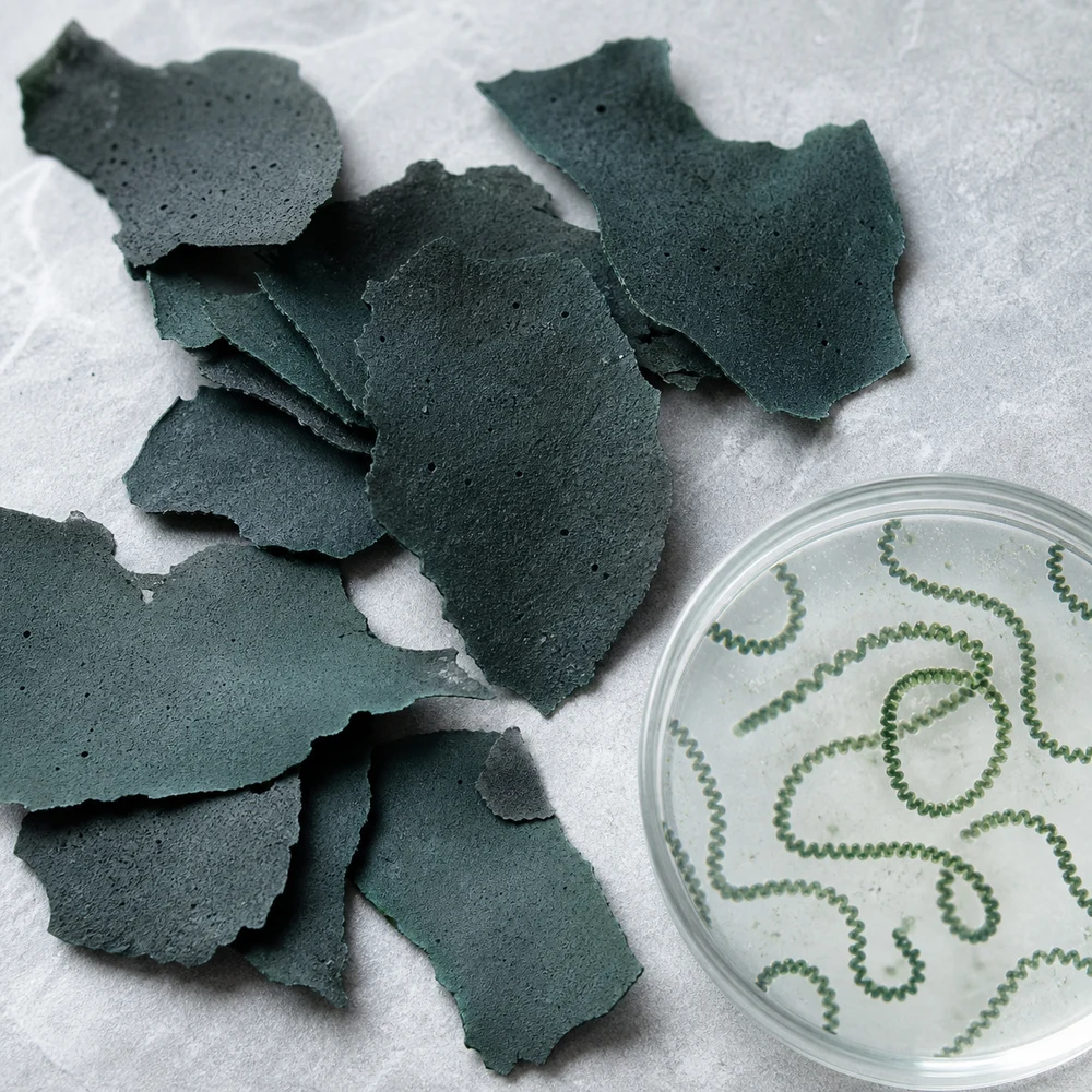 Spirulina Powder ingredient and specification presentation