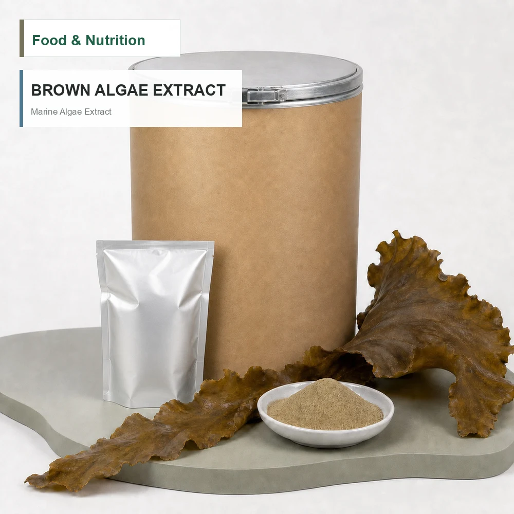 Brown Algae Extract product sourcing presentation