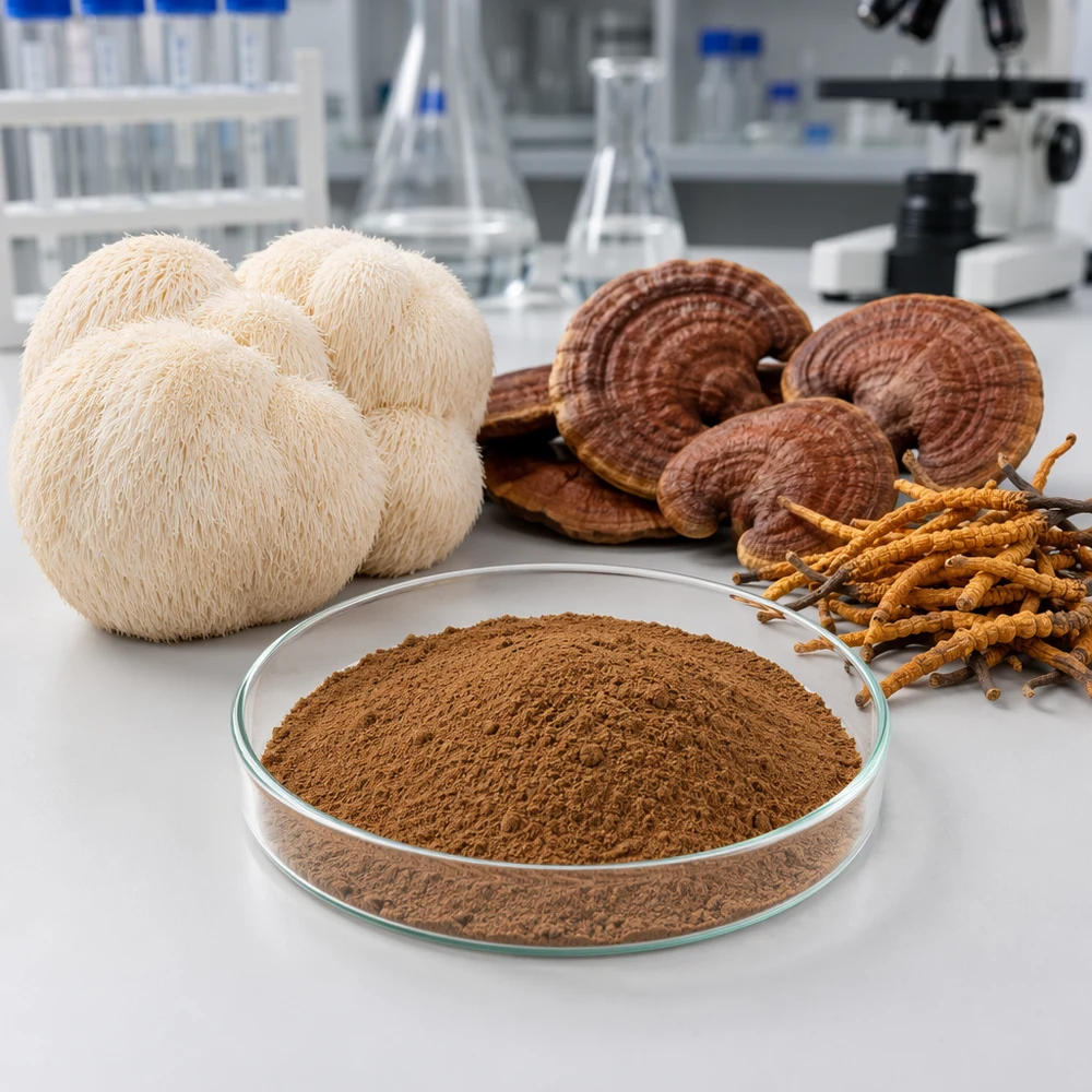 Multi-Mushroom Extract Blend ingredient and specification presentation