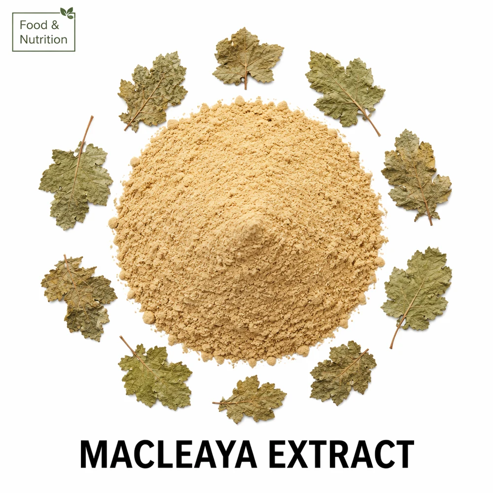 Macleaya Cordata Extract product sourcing presentation