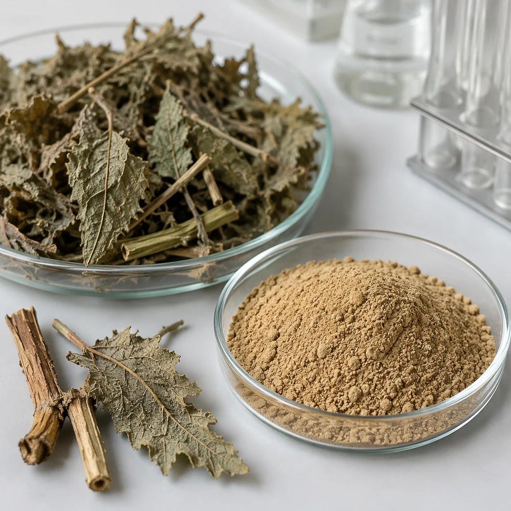 Macleaya Cordata Extract ingredient and specification presentation