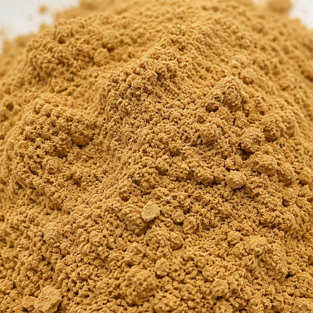 Monk Fruit Extract 50% for Reduced-Sugar Formulation Projects product format presentation