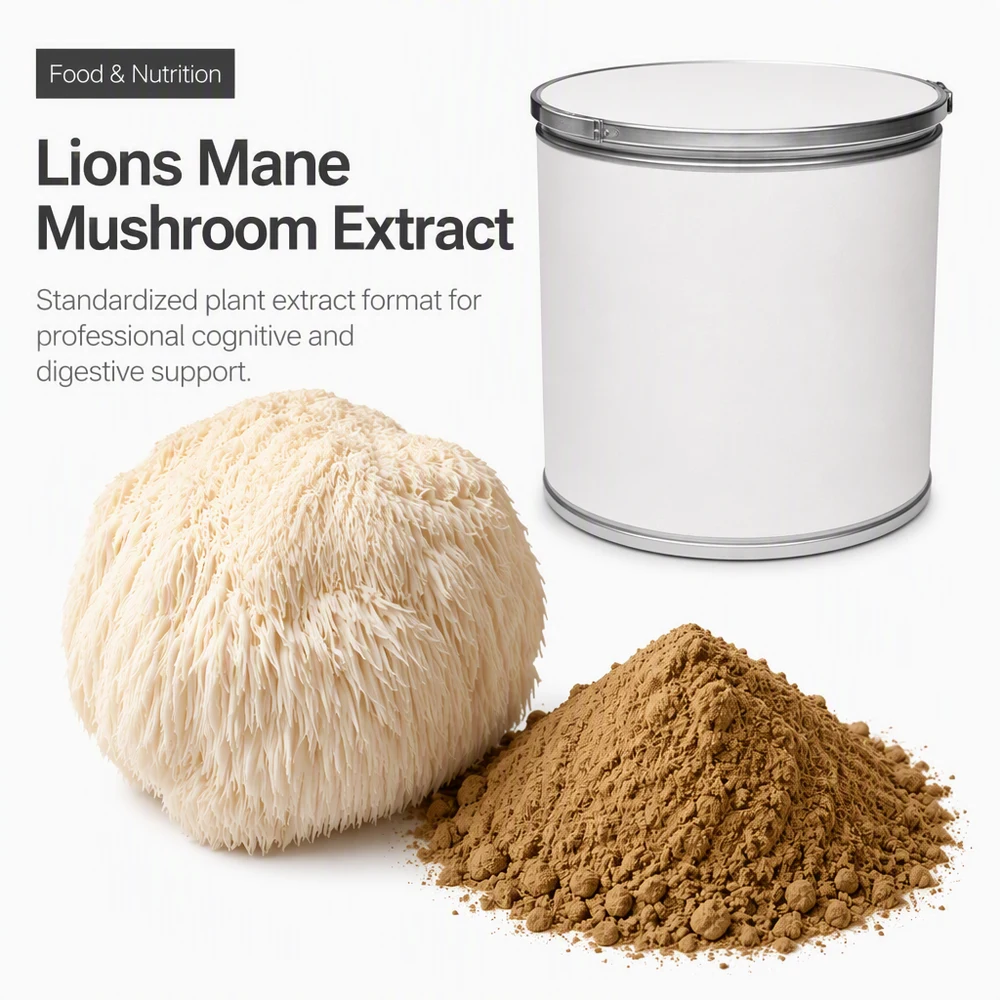 Lion's Mane Mushroom Extract product sourcing presentation