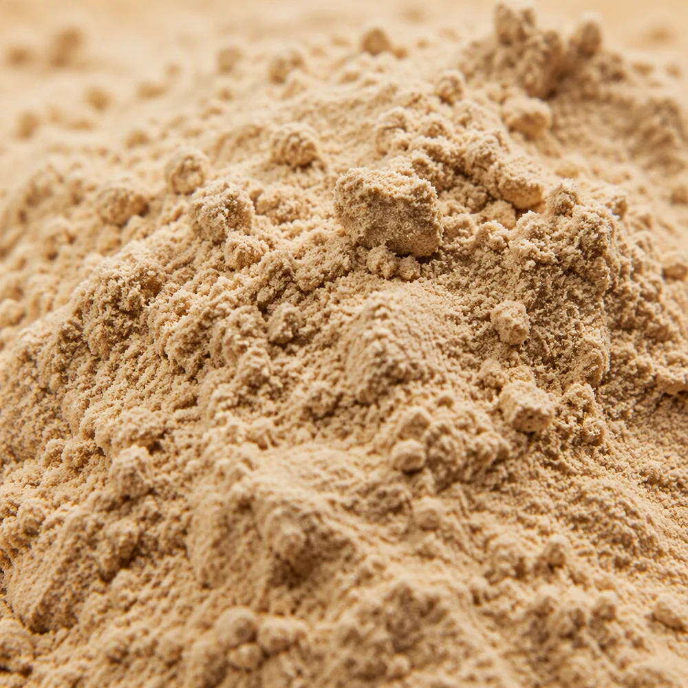 Lion's Mane Mushroom Extract product format presentation