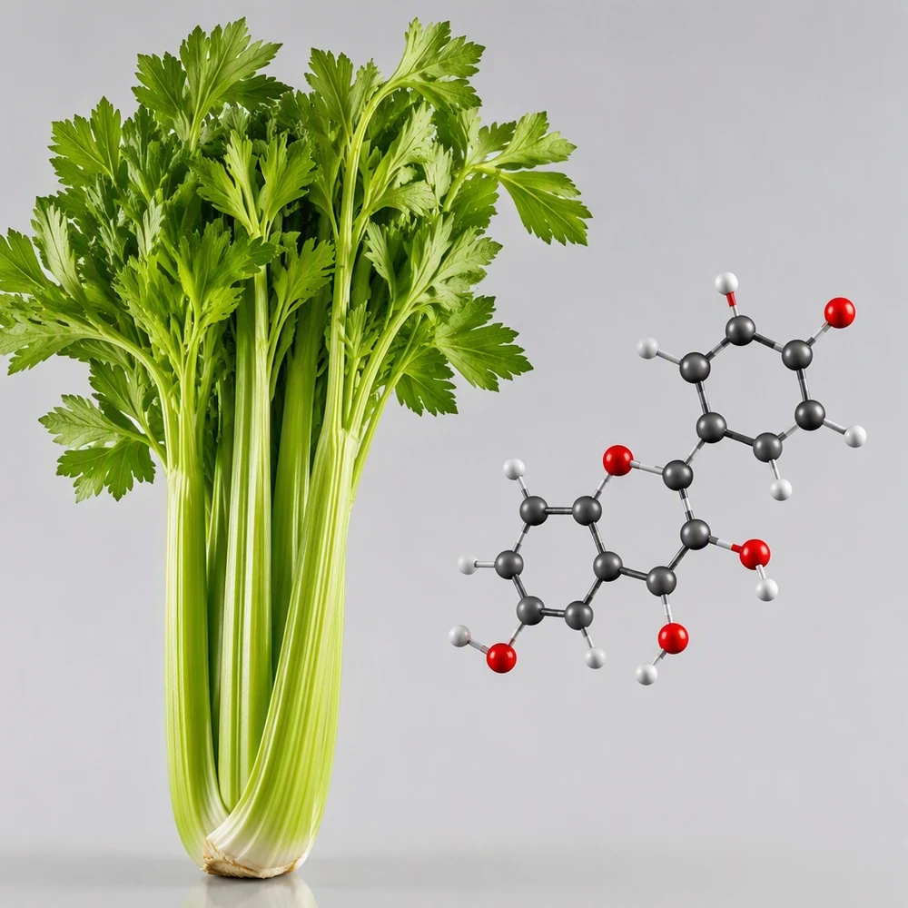 Apigenin Botanical Ingredient Powder for Formulation Development ingredient and specification presentation