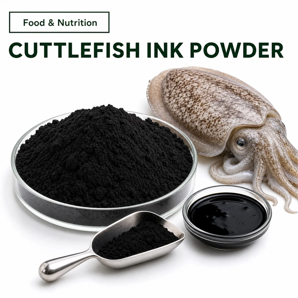 Cuttlefish Powder product sourcing presentation