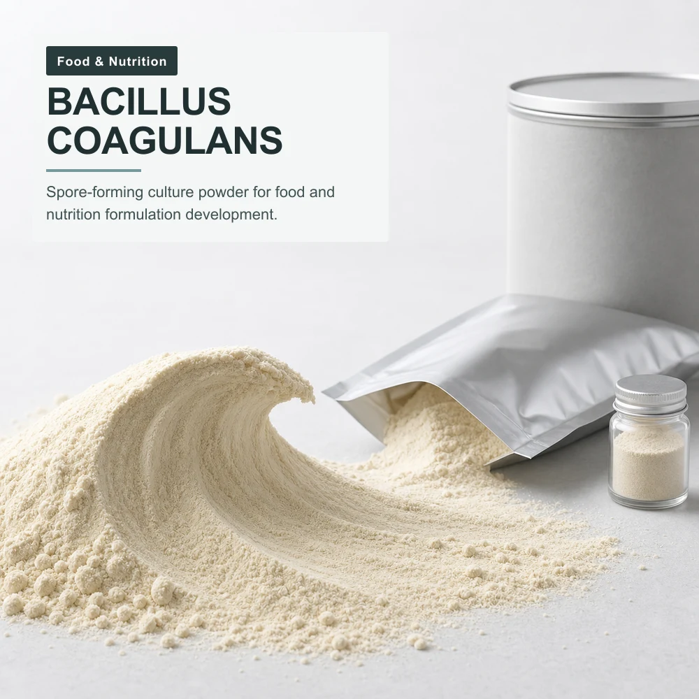 Bacillus Coagulans Probiotic Powder product sourcing presentation