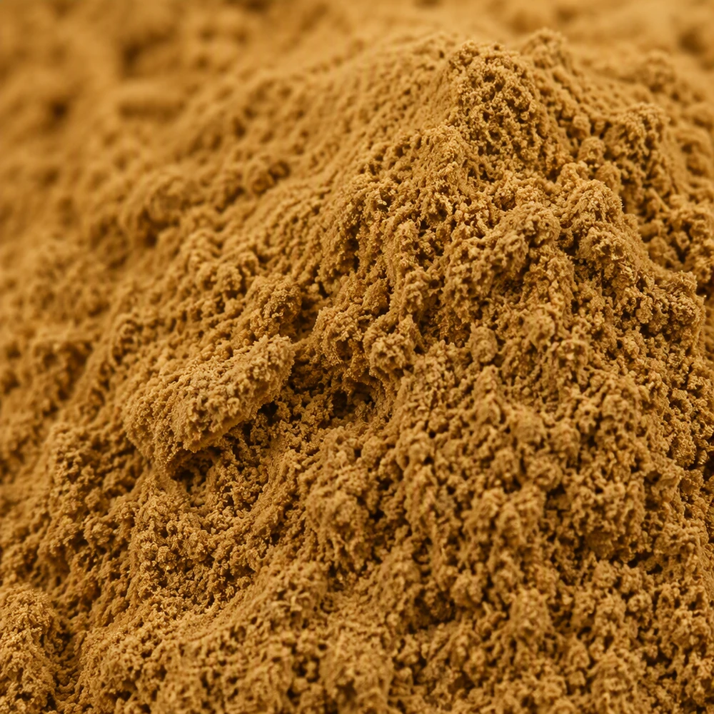 Huperzia Serrata Extract with 1% Huperzine A for Botanical Ingredient Review product format presentation