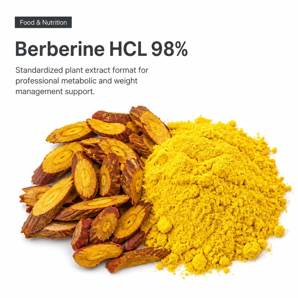 Berberine Hydrochloride 98% Powder for Standardized Botanical Formulations product sourcing presentation