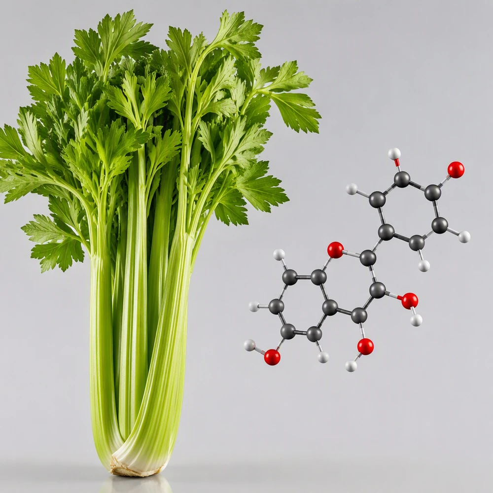 Apigenin 98% Standardized Powder for Botanical Ingredient Projects ingredient and specification presentation