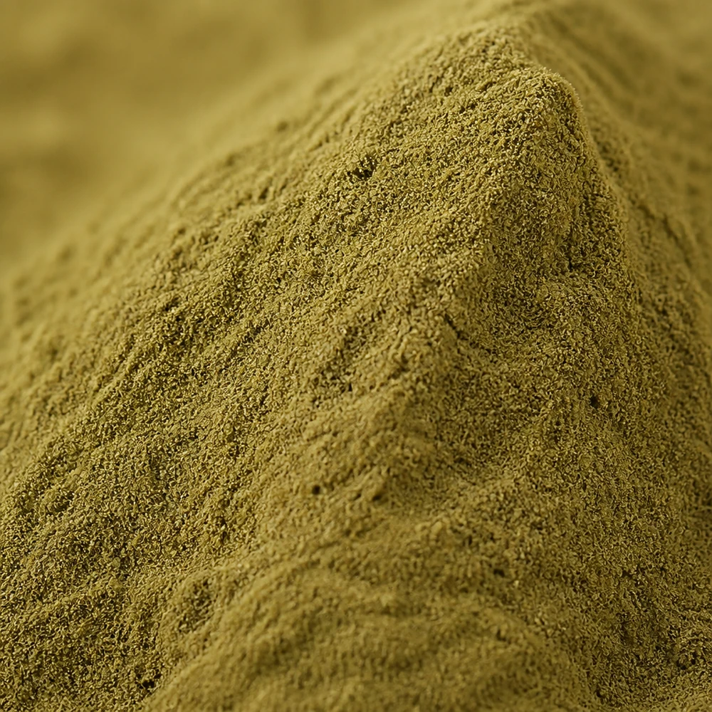 Standardized Bacopa Monnieri Extract with 50% Saponins for Bulk Sourcing product format presentation