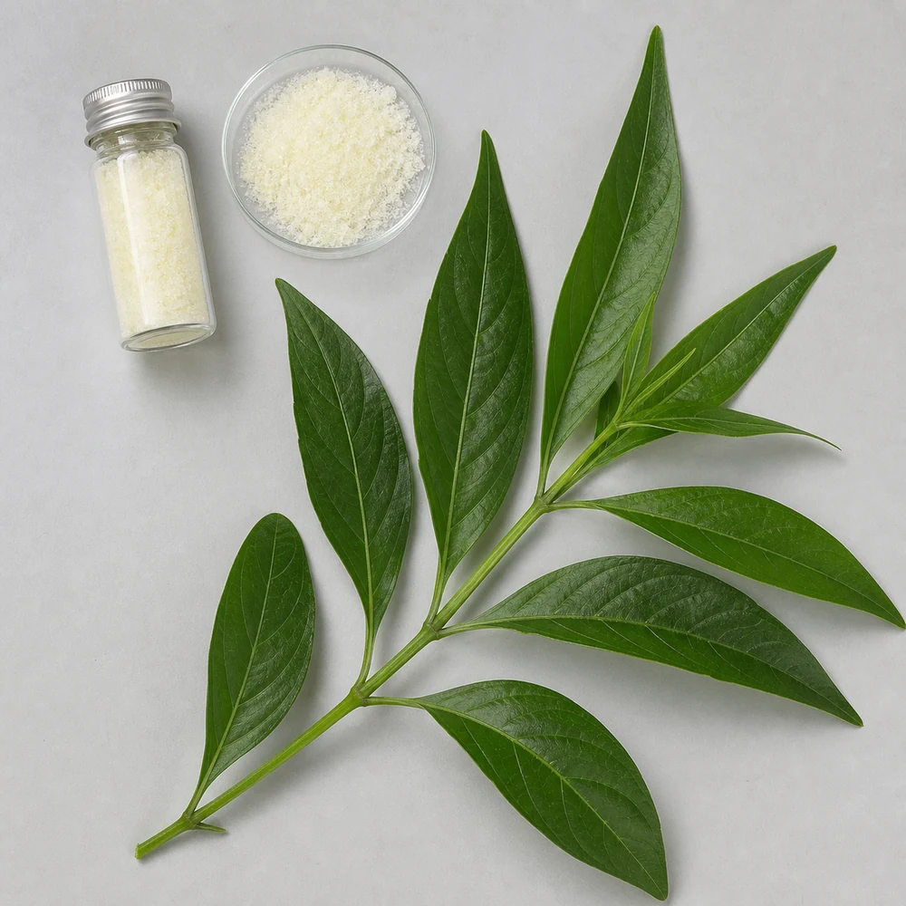 Andrographolide 98% Extract for B2B Project Review ingredient and specification presentation