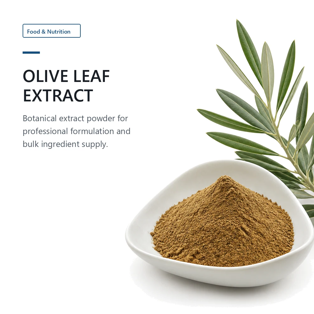 Olive Leaf Extract 40% Oleuropein for B2B Project Review product sourcing presentation