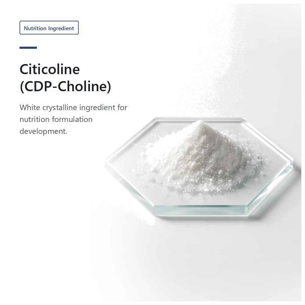 Citicoline (CDP-Choline) 99% for B2B Project Review product sourcing presentation