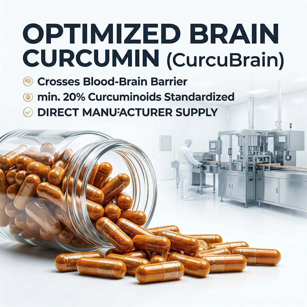 Curcu Brain