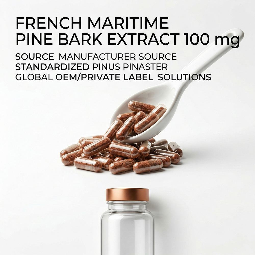 French Maritime Pine Bark Extract2