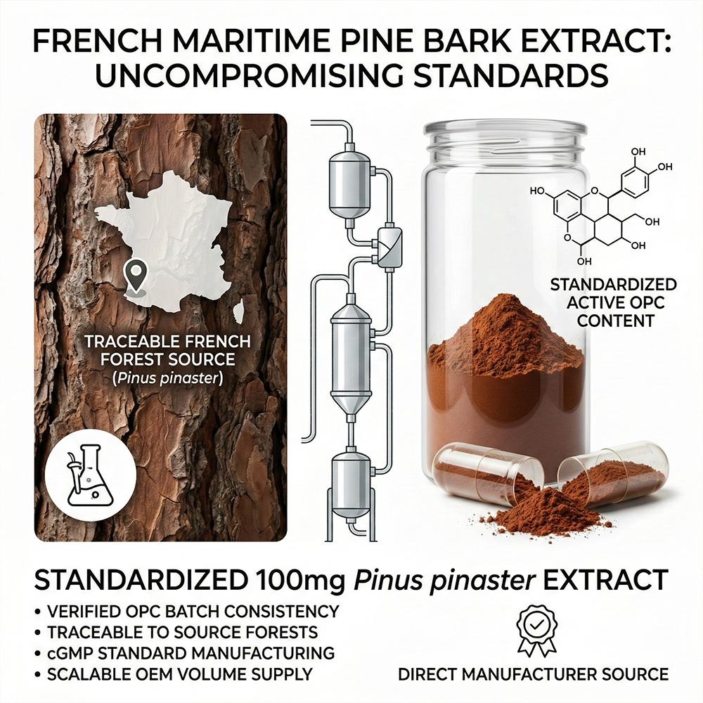 French Maritime Pine Bark Extract2 product detail image 3