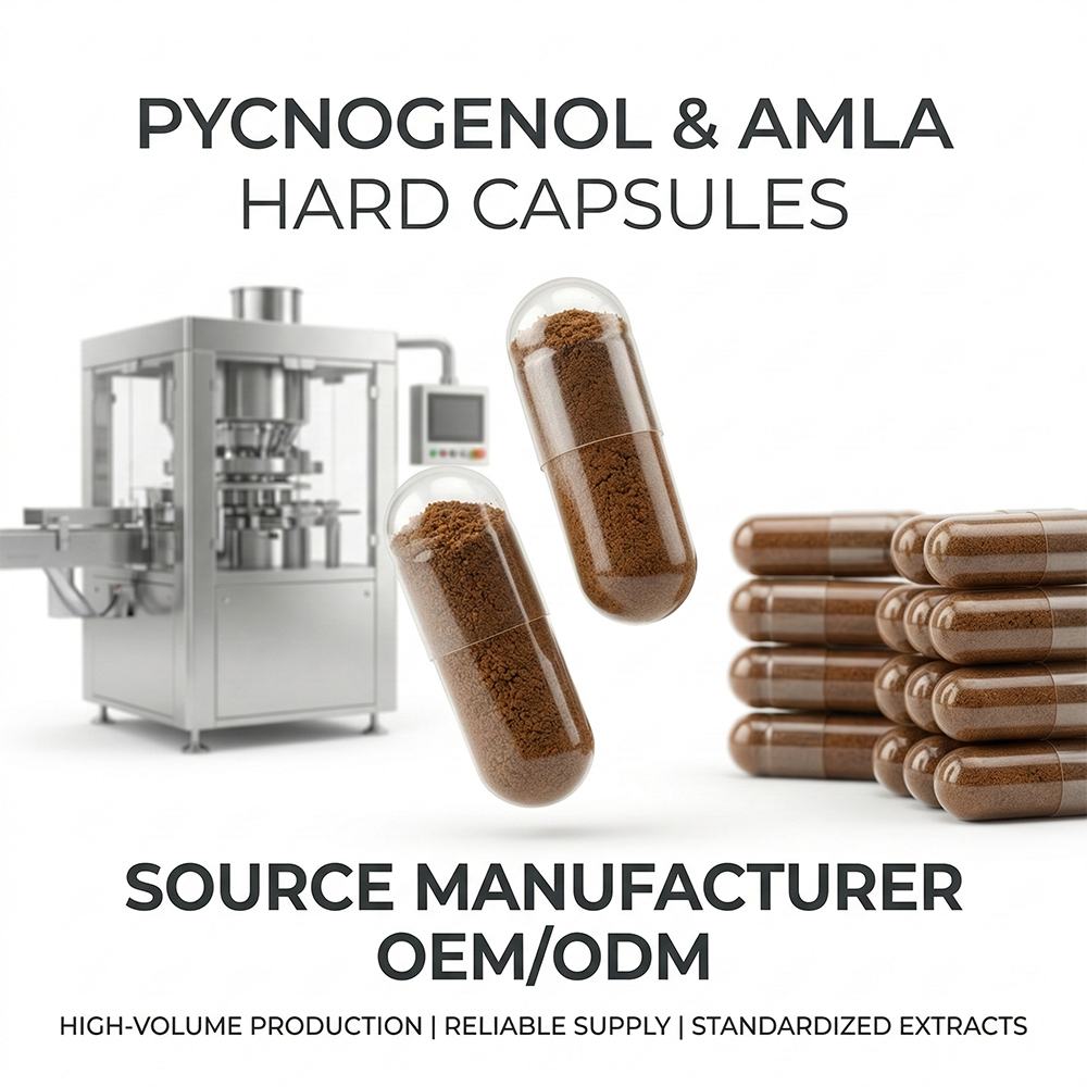 Pycnogenol Capsules