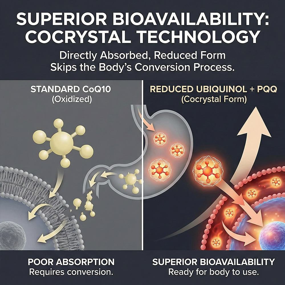 Ubiquinol PQQ CoQ10 Capsules product detail image 3