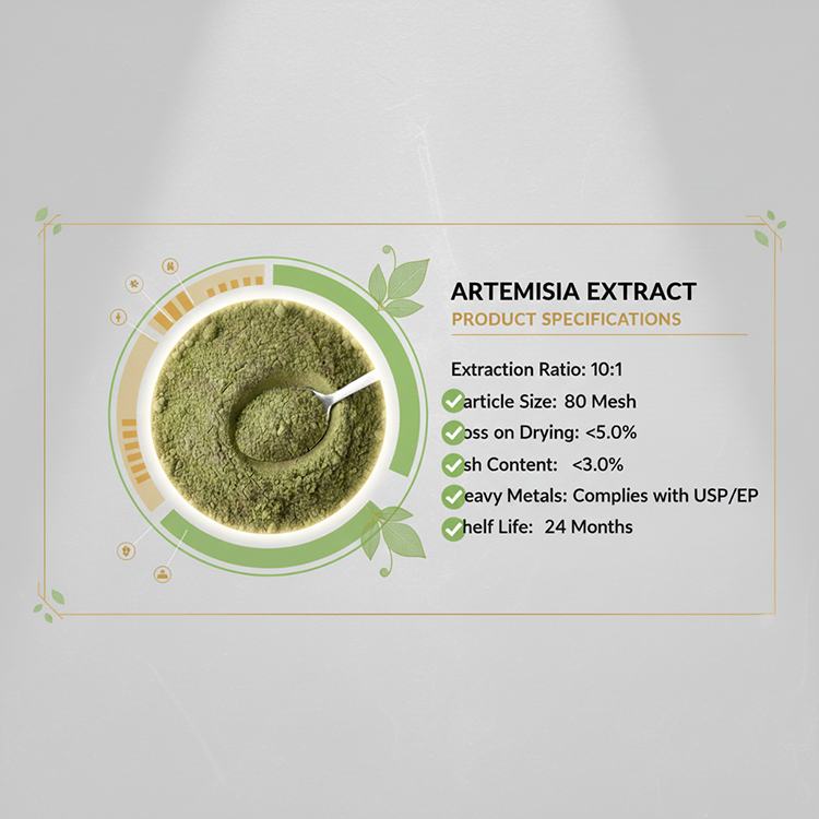 Mugwort Extract product detail image 6