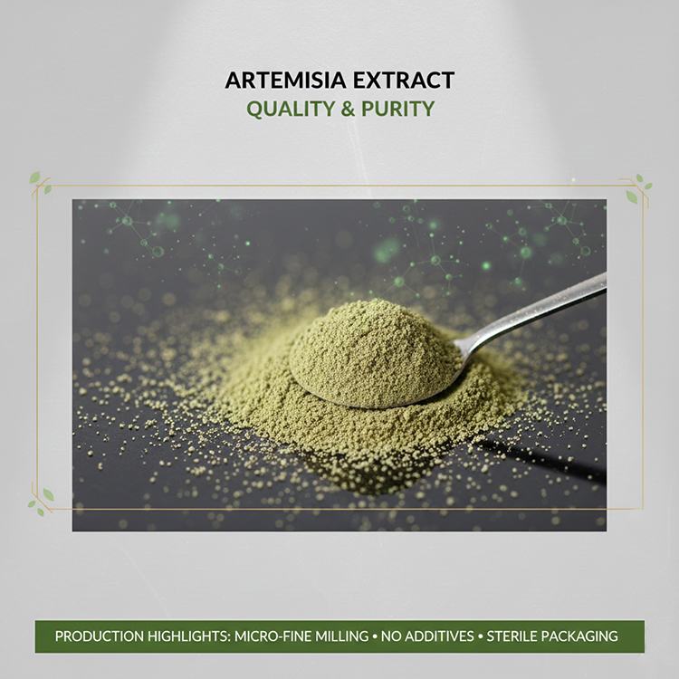 Mugwort Extract product detail image 7