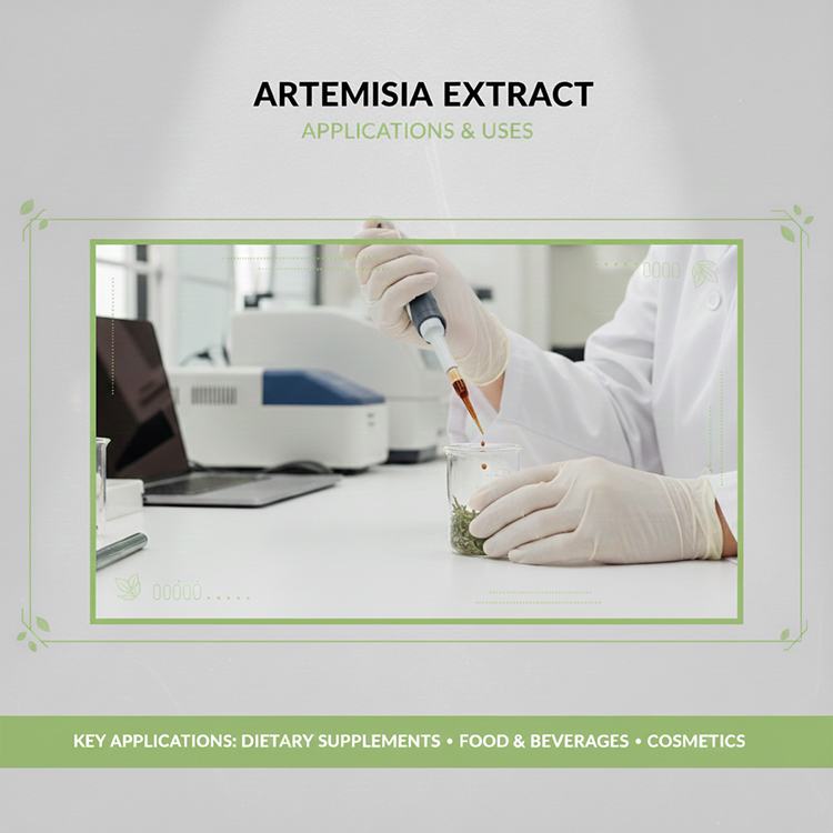 Mugwort Extract product detail image 8