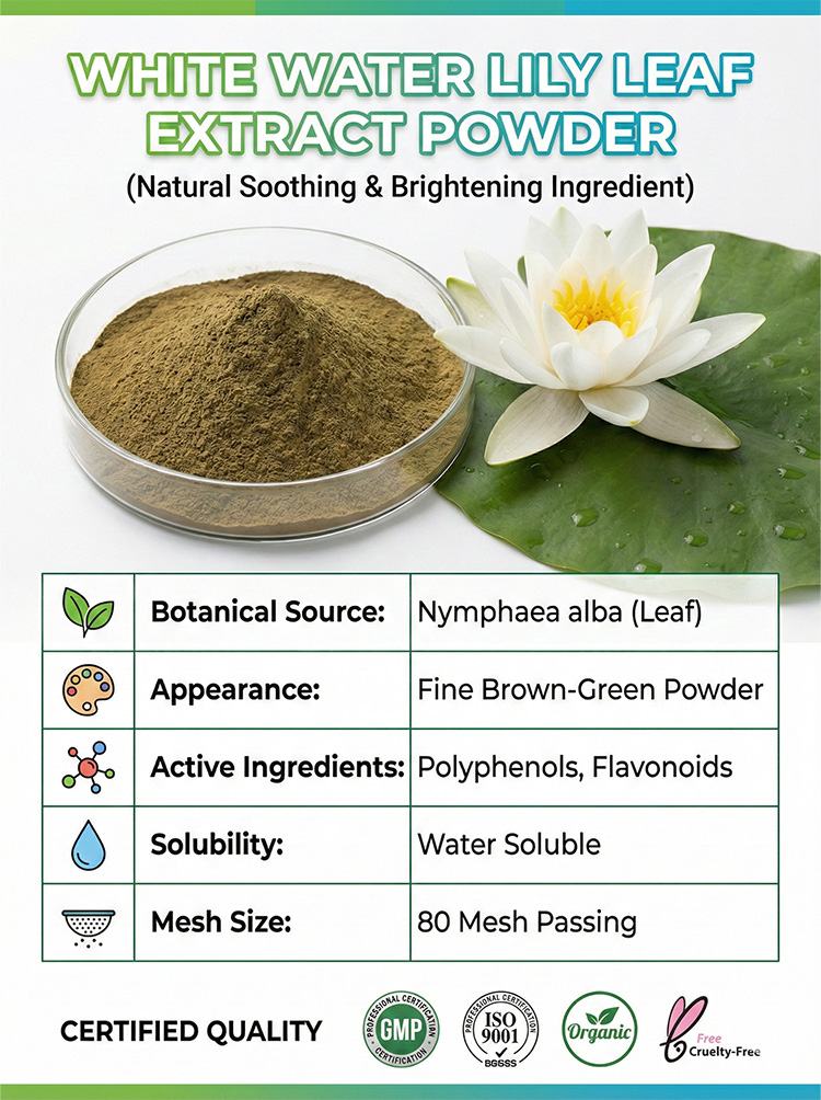 White Water Lily Extract product detail image 7