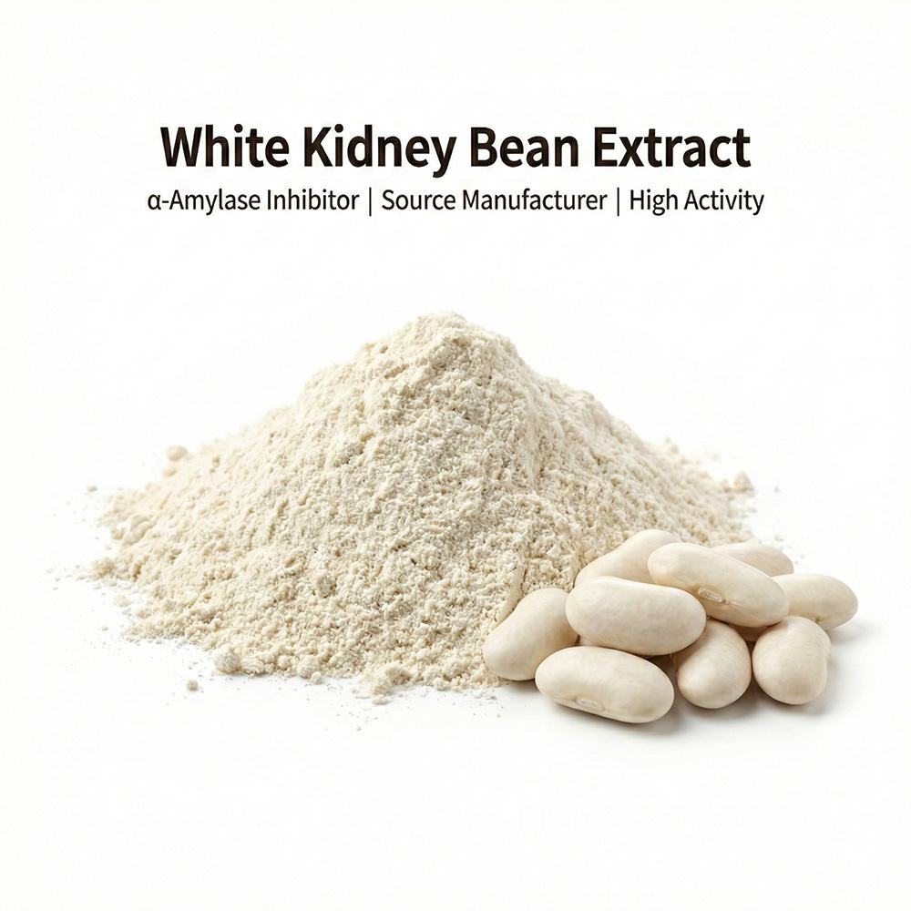 White Kidney Bean Extract