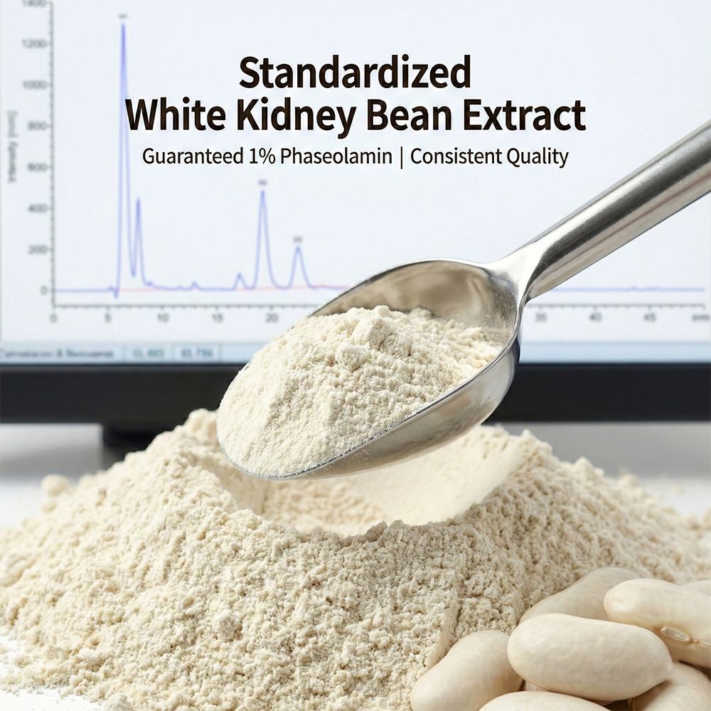 White Kidney Bean Extract product detail image 2