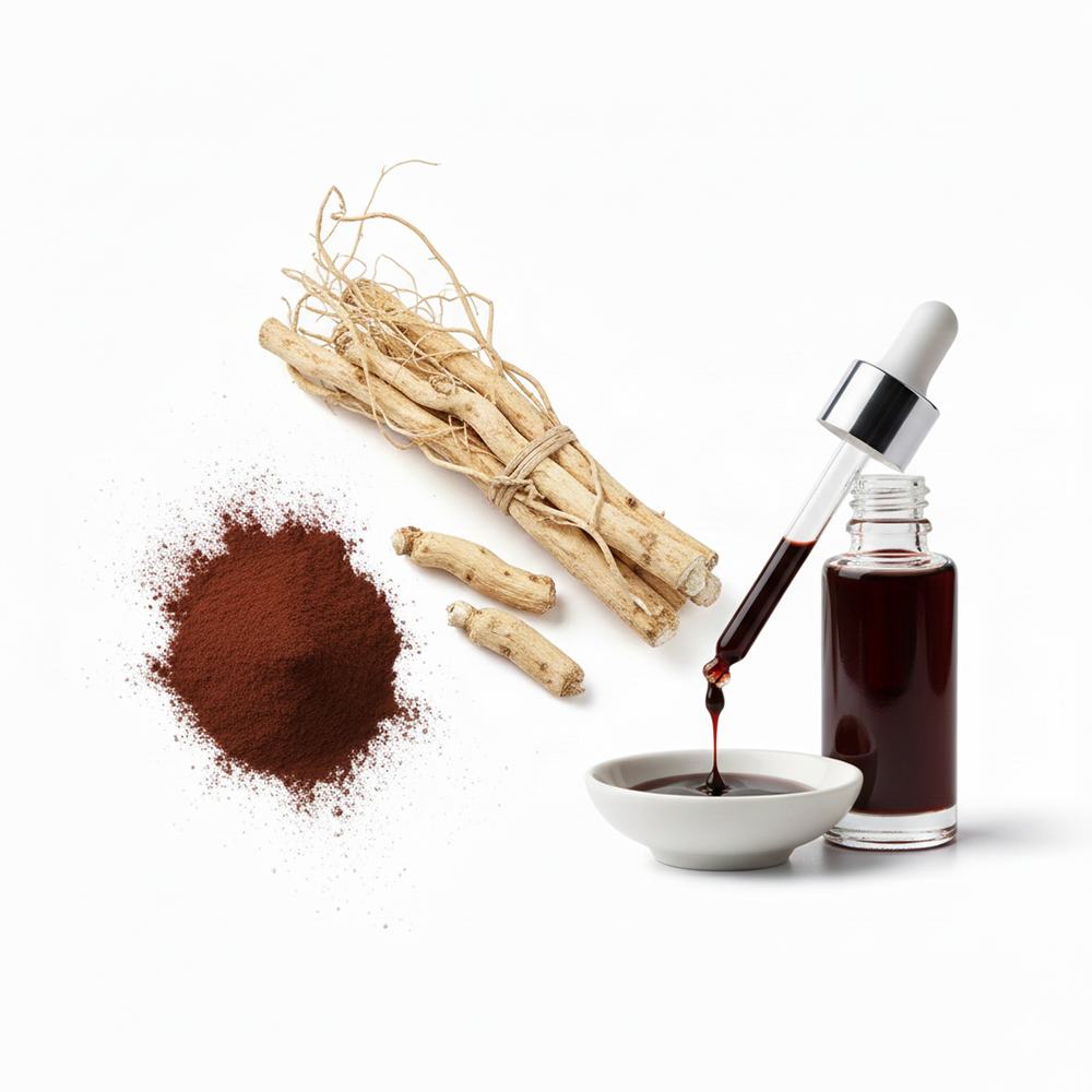 Angelica Dahurica Extract