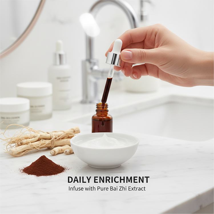 Angelica Dahurica Extract product detail image 5