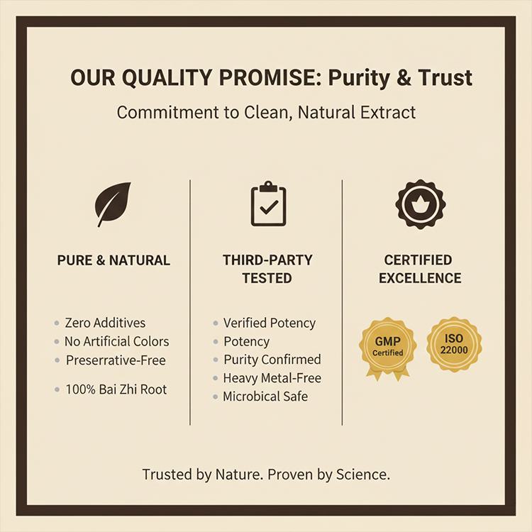 Angelica Dahurica Extract product detail image 7
