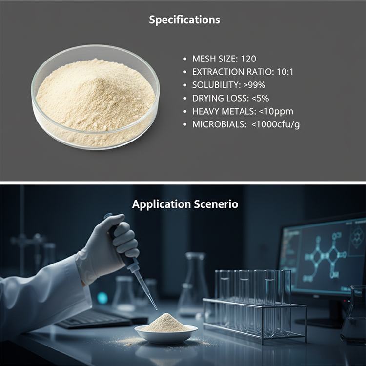 Lily Bulb Extract product detail image 6