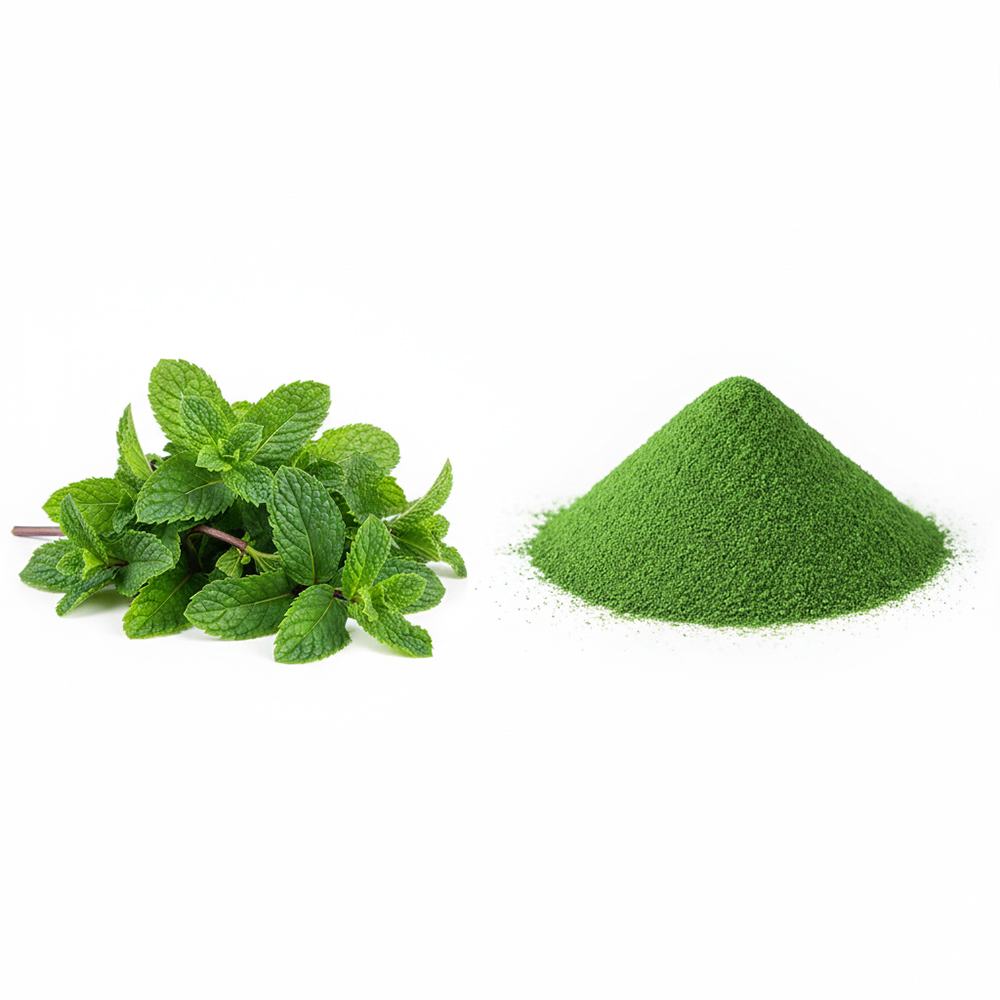 Peppermint Extract product detail image 2