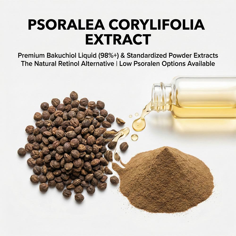 Psoralea Corylifolia Extract