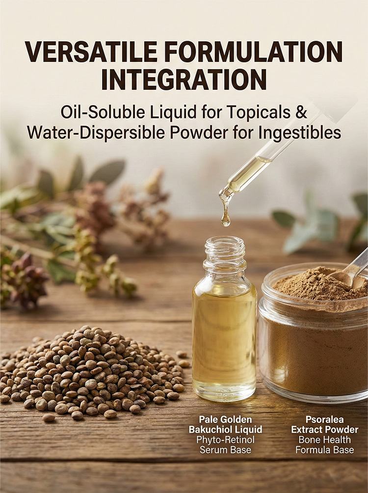 Psoralea Corylifolia Extract product detail image 8